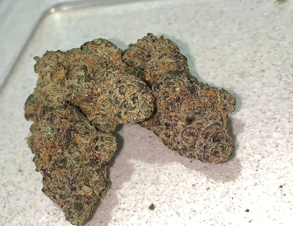 Giga Gas — Hybrid | Indoor (A4) AAAA+