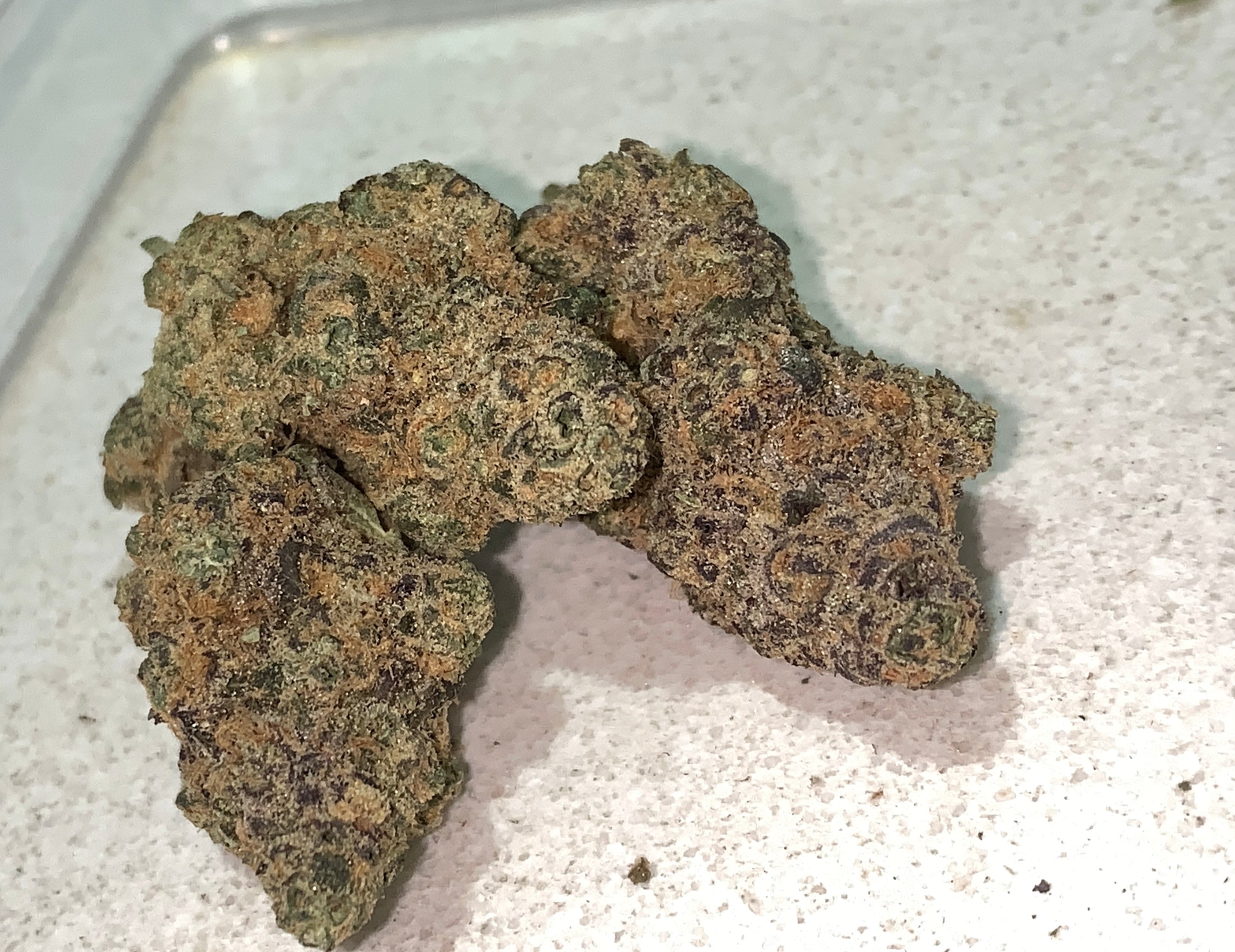 Giga Gas — Hybrid | Indoor (A4) AAAA+