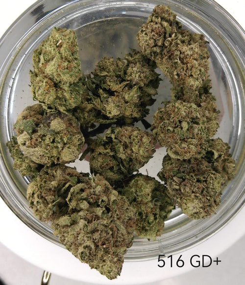 516 GD+ GreenDoor+ Flower | GreenBullie Express