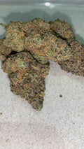 Giga Gas — Hybrid | Indoor (A4) AAAA+