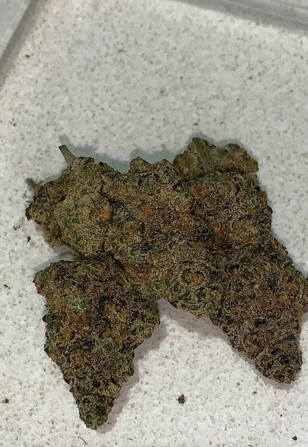 Giga Gas — Hybrid | Indoor (A4) AAAA+