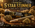 5 Star Stunner — Pre-Roll | AAA+
