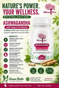 Ashwagandha with Spore Probiotic | Premium Stress, Energy & Wellness Support