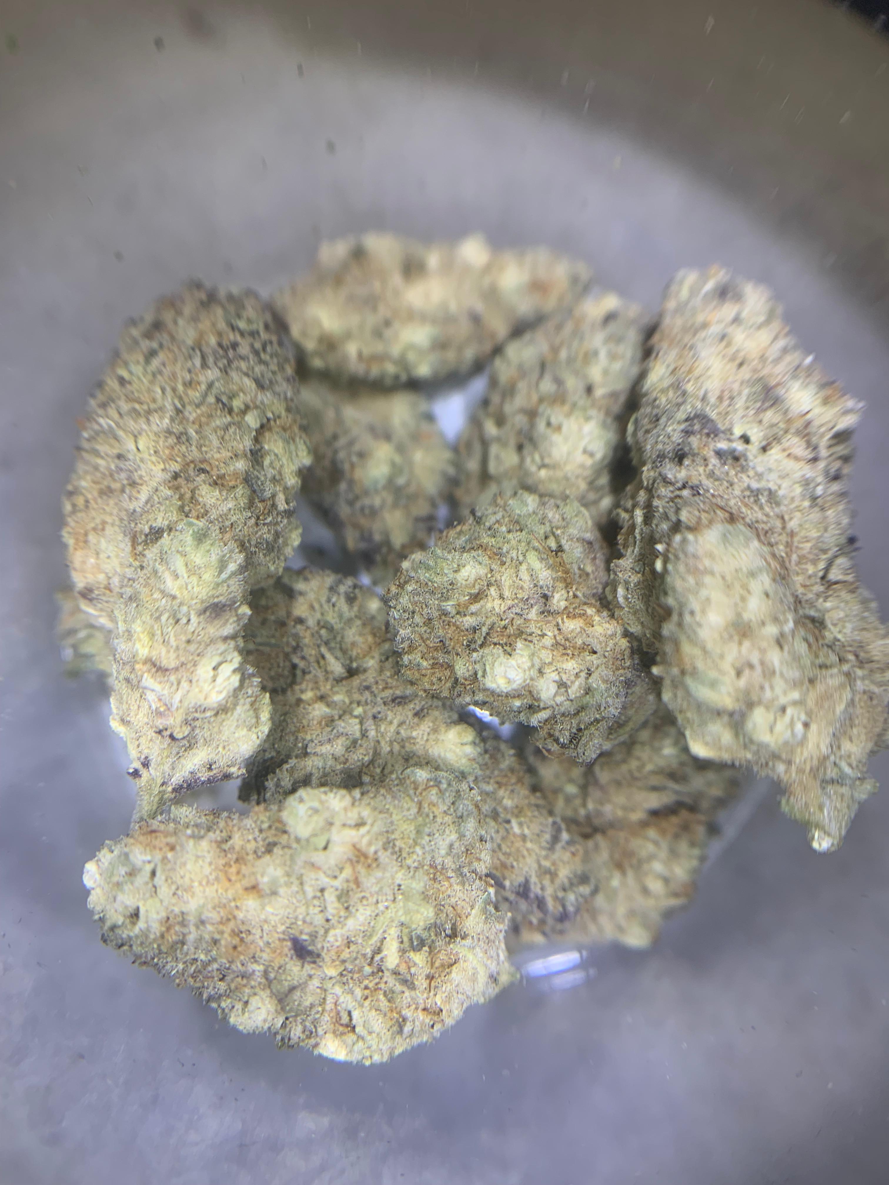 Alien Cookies — Hybrid | Indoor AAA
