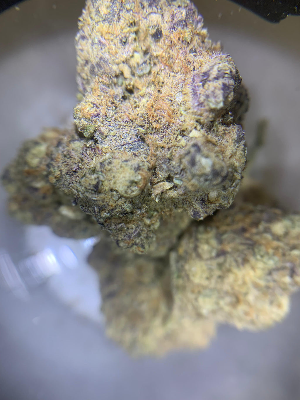 Animal Kush Mintz — Hybrid | Indoor AAA