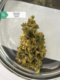 Apie Kak — Hybrid | Greendoor/House Blend