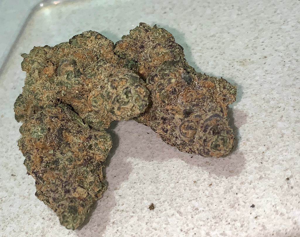 Giga Gas — Hybrid | Indoor (A4) AAAA+