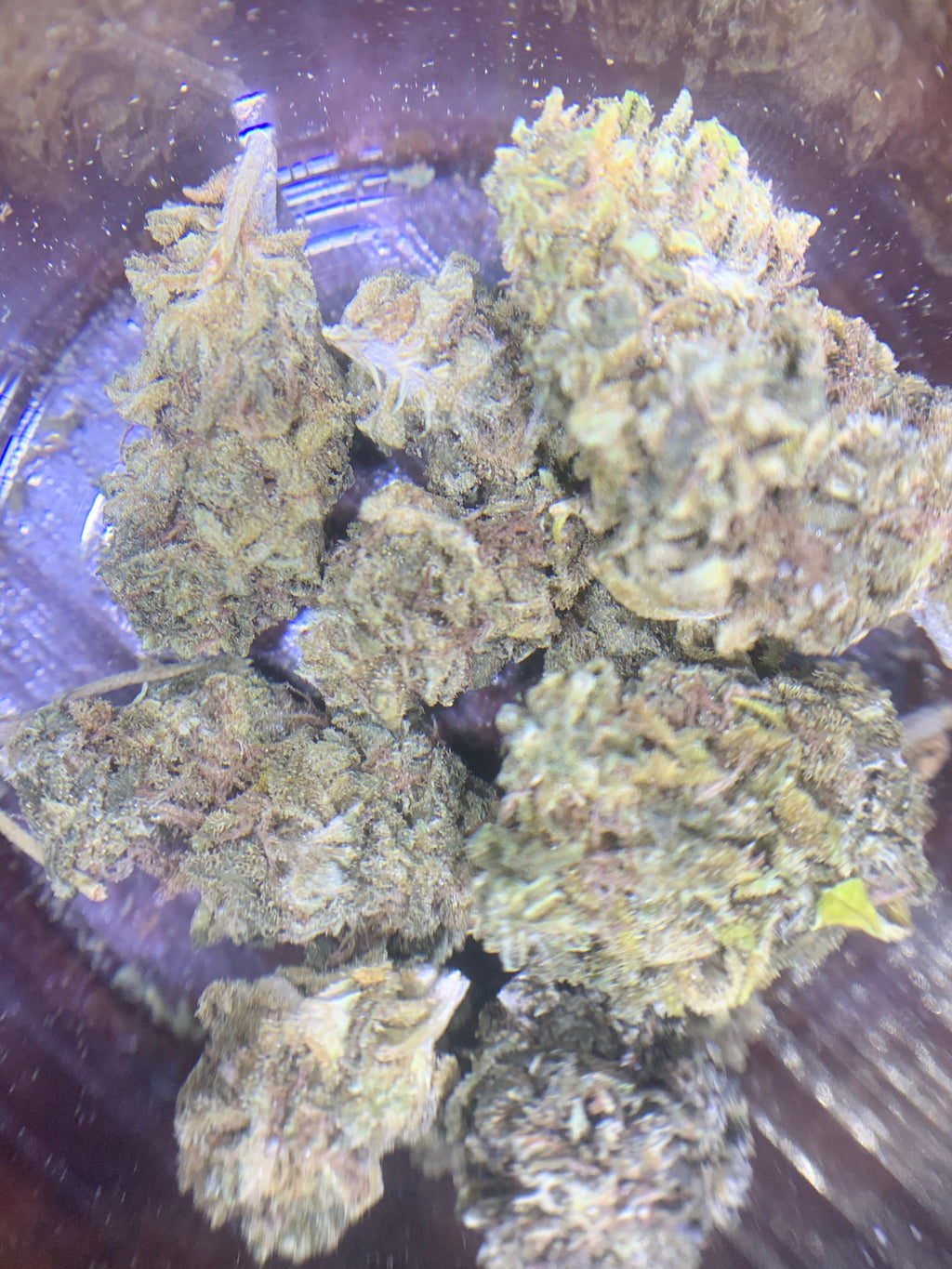 Baas-Kaas (Greendoor Hybrid – 50/50)