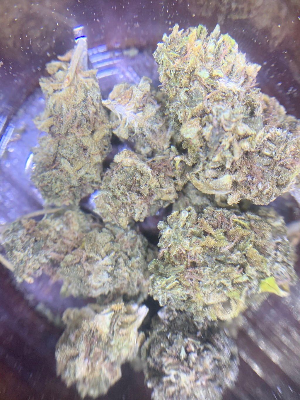 Baas-Kaas (Greendoor Hybrid – 50/50)