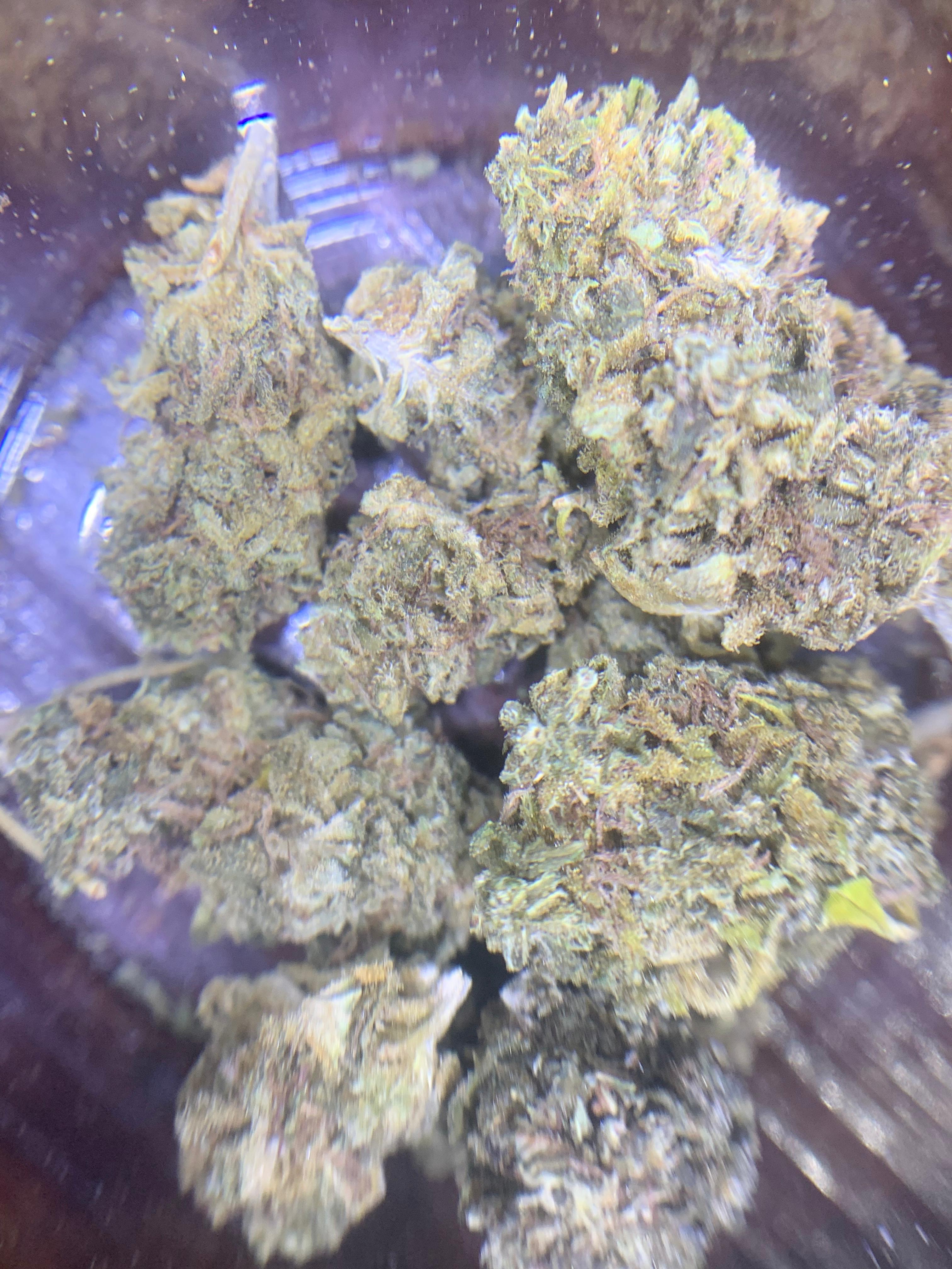 Baas-Kaas (Greendoor Hybrid – 50/50)