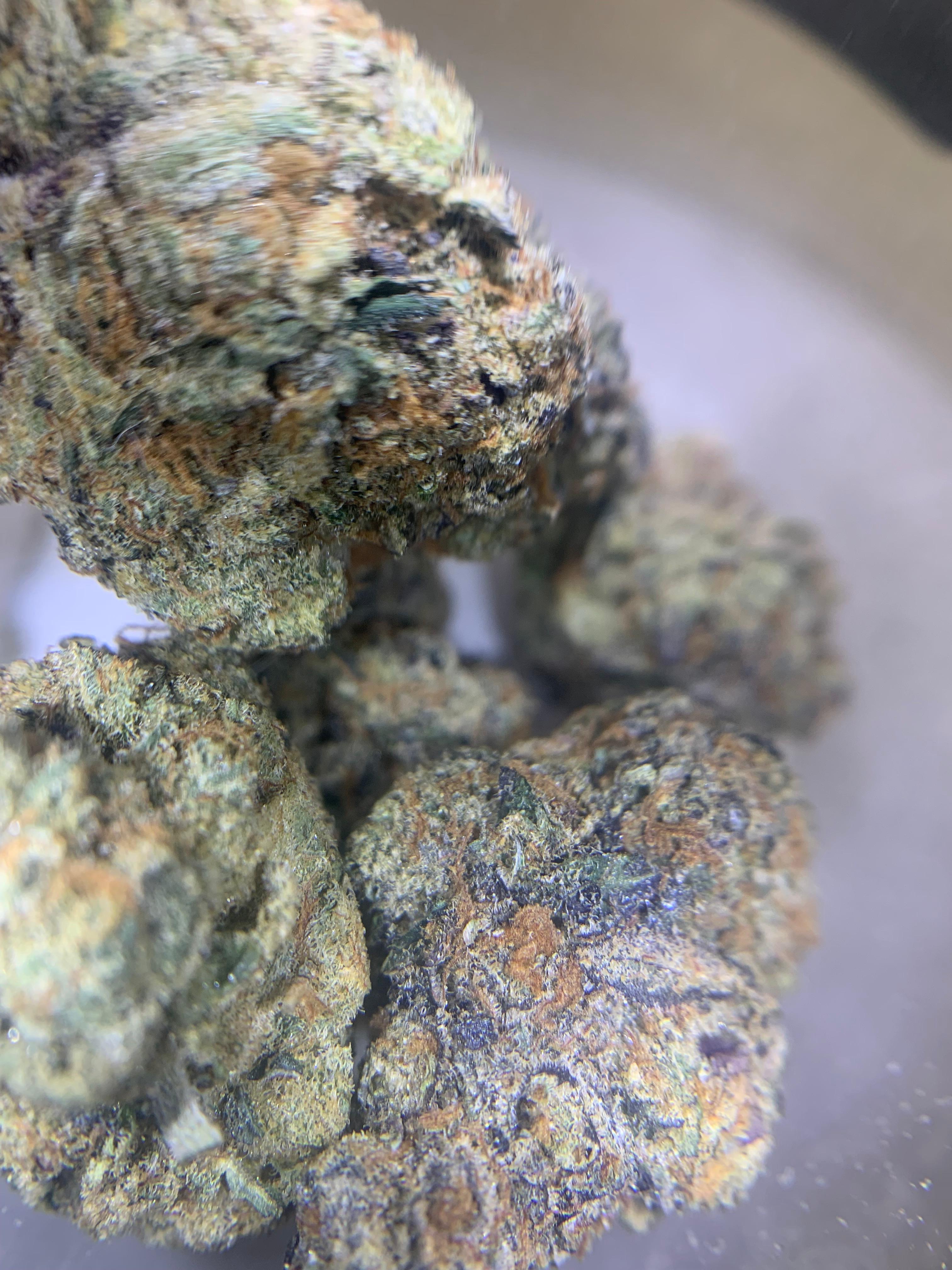 Banana Cooler — Hybrid | Indoor (A4) AAAA+