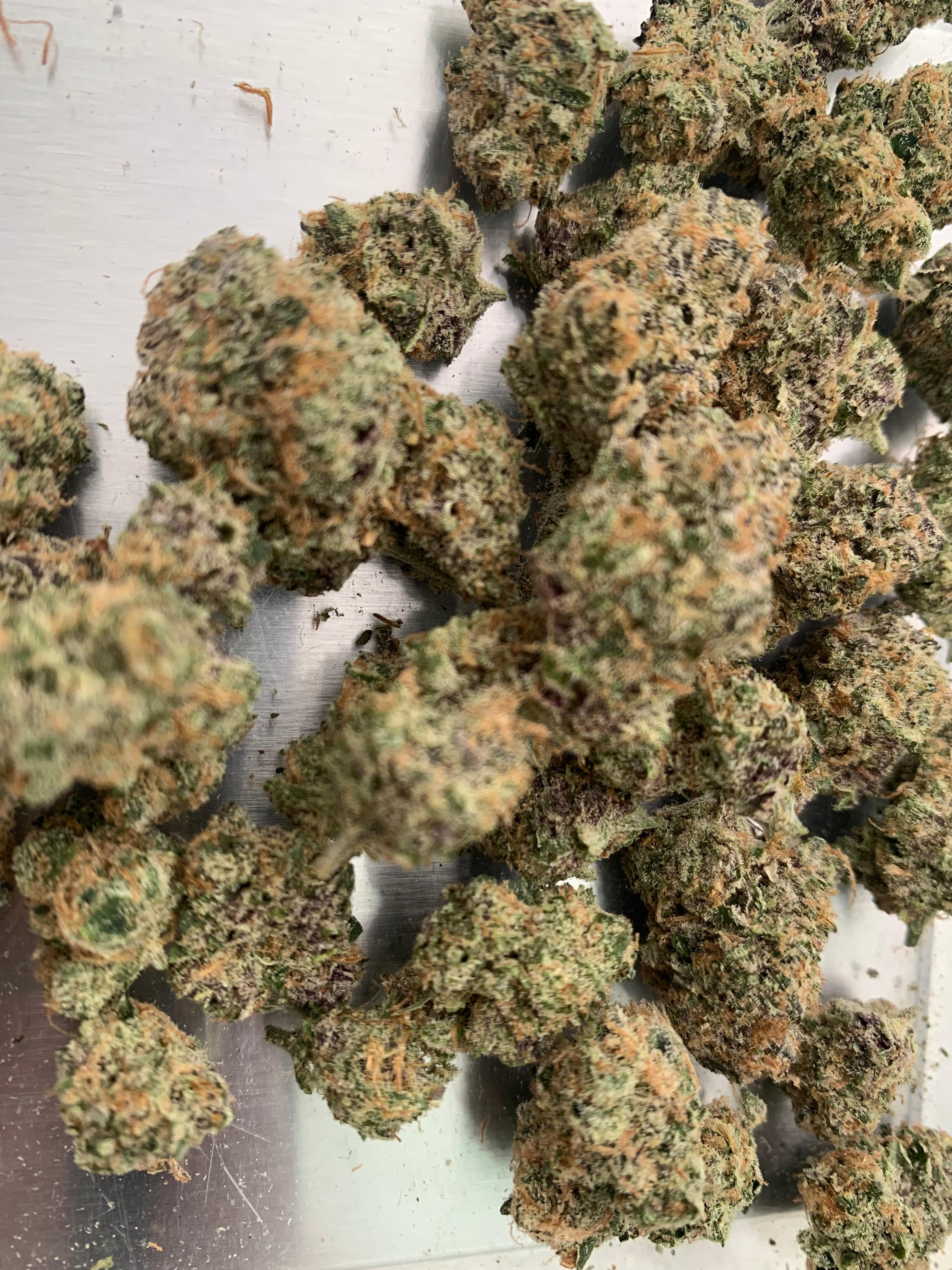 Big Fruit King — Hybrid | Hydroponic