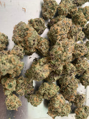 Big Fruit King — Hybrid | Hydroponic
