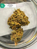 Blackberry — Hybrid | Greendoor/House Blend