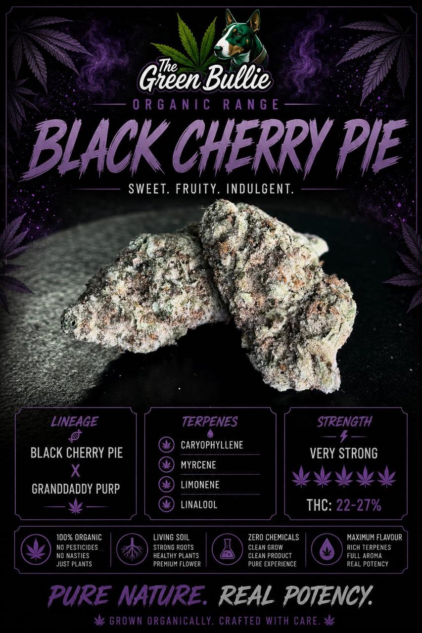 Black Cherry Pie (Indica)GBO AA+