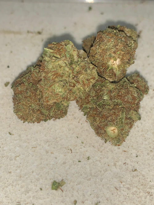 Black Dawg | Premium Greendoor Flower