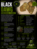 Black Dawg | Premium Greendoor Flower