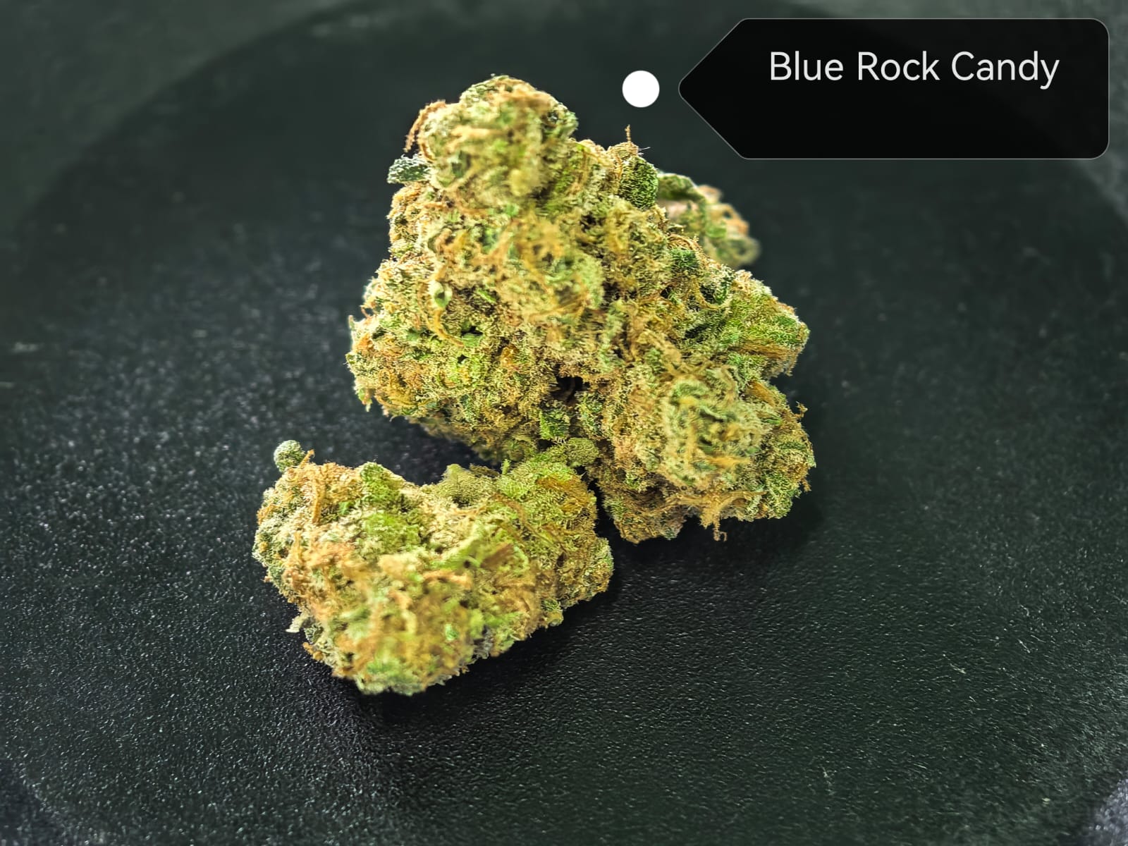 Blue Rock Candy — Hybrid | Indoor