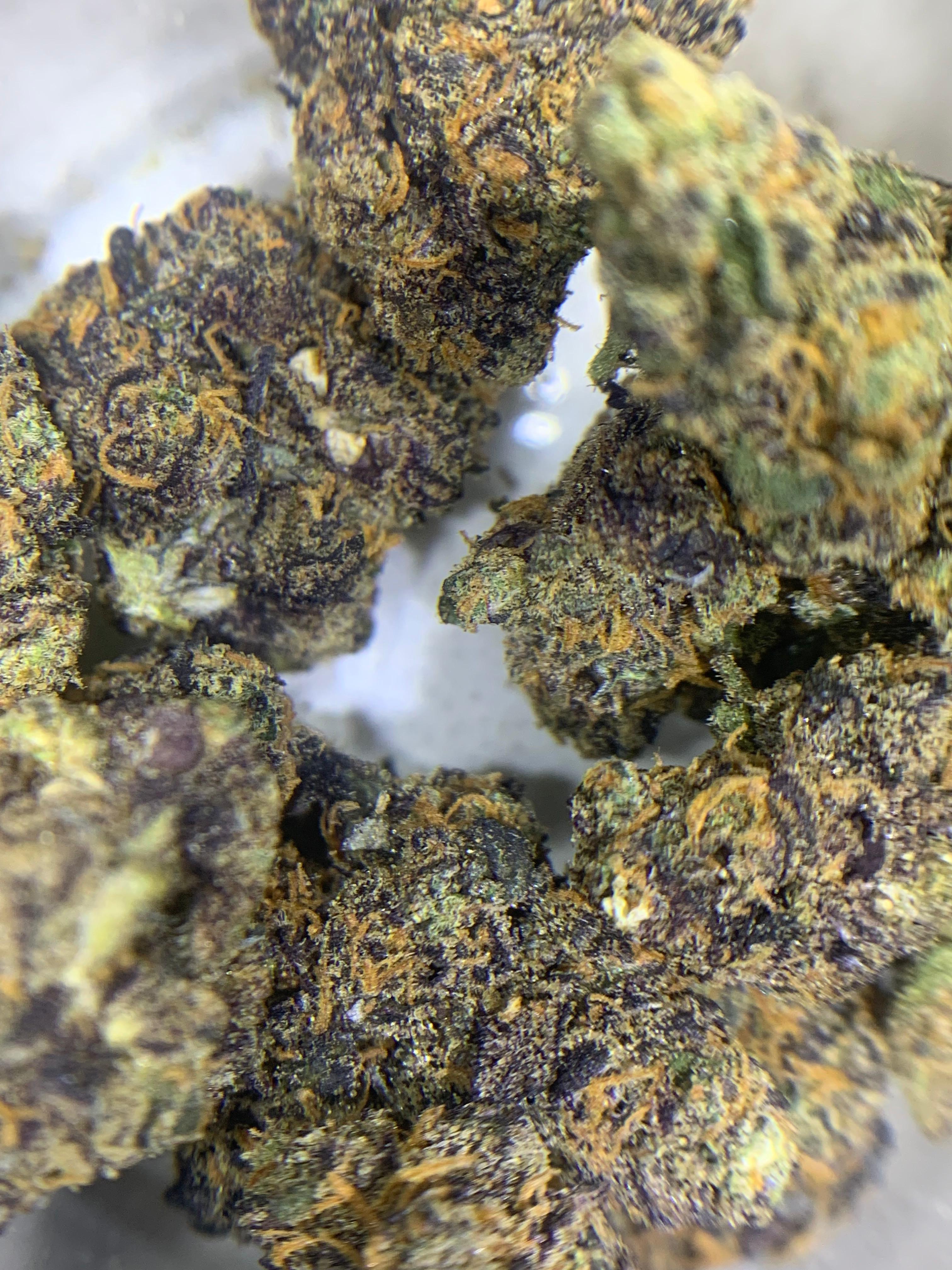 Block Berry — Hybrid | Indoor (A4) AAAA+