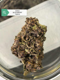 Blockberry — Hybrid | Indoor