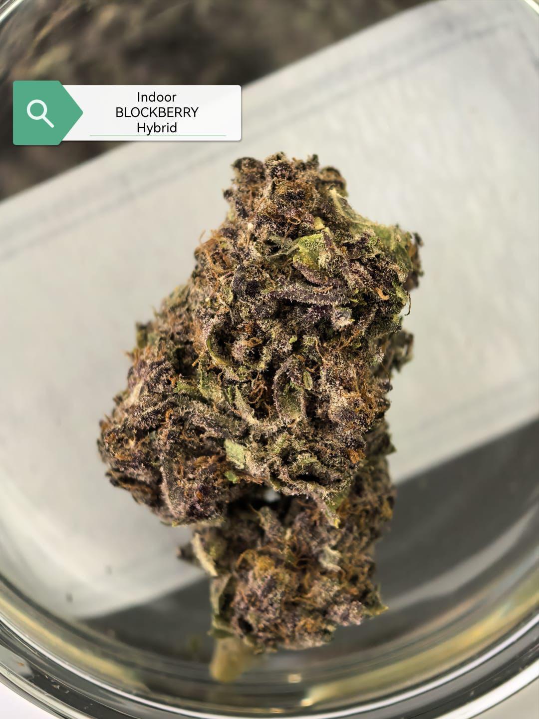 Blockberry — Hybrid | Indoor