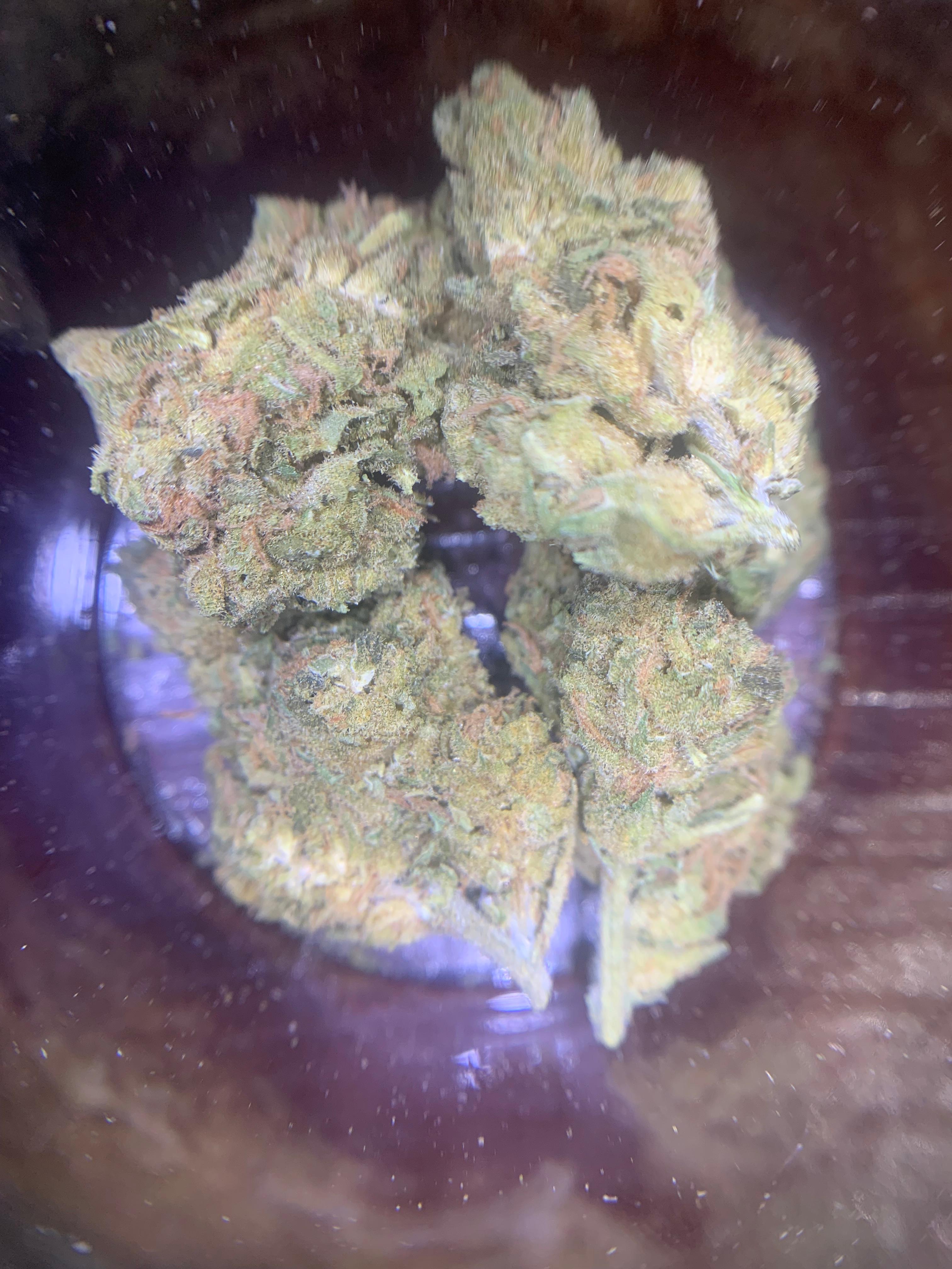 Blue Dream (GBO AA+) Sativa