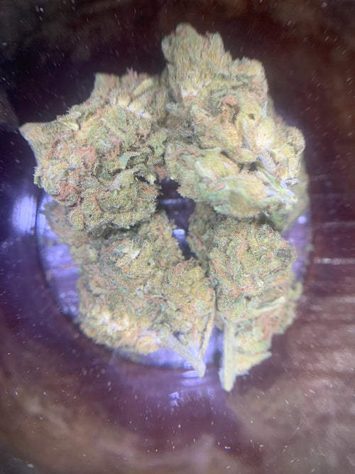 Blue Dream (GBO AA+) Sativa