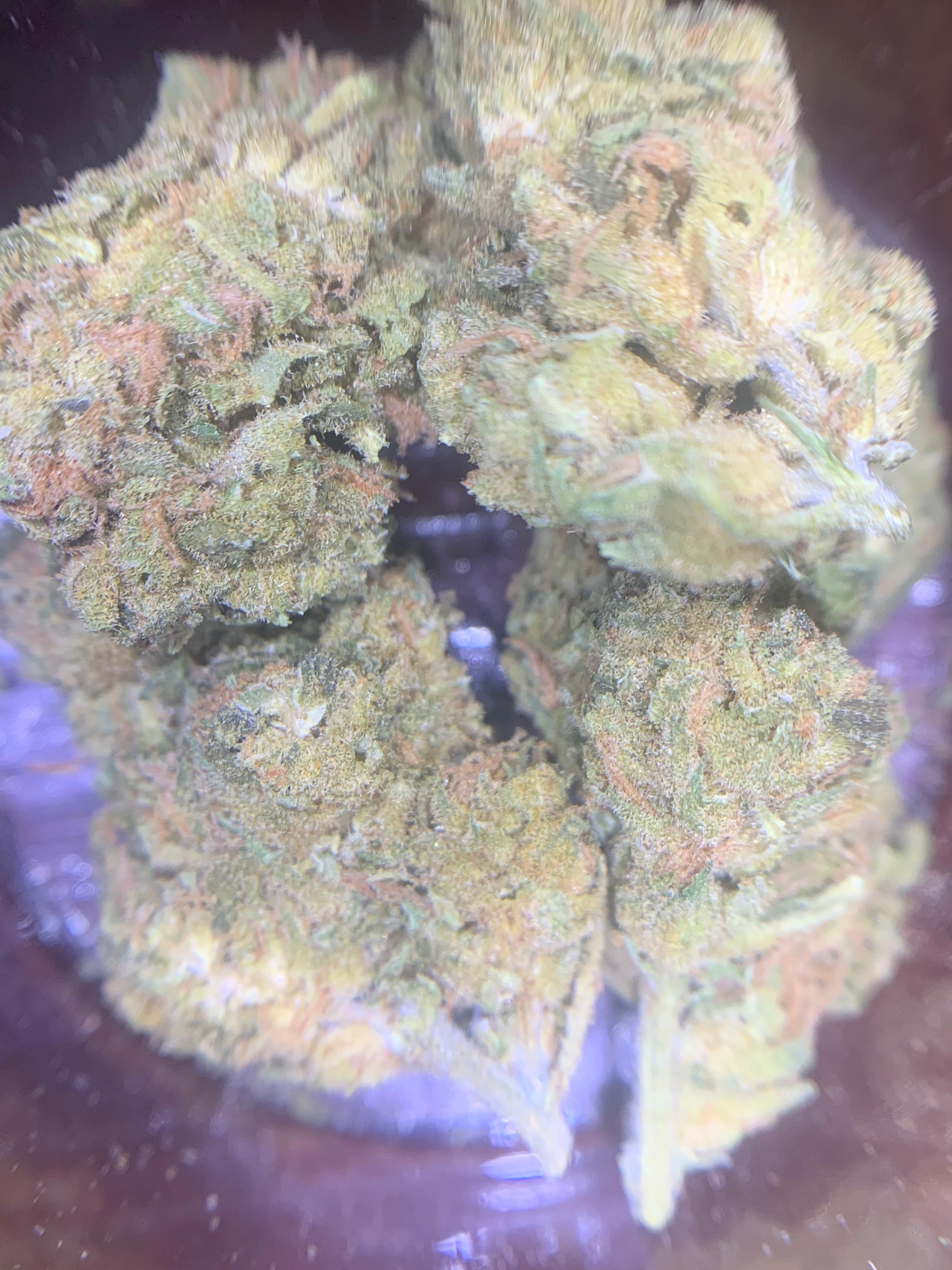 Blue Dream (GBO AA+) Sativa