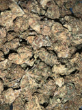 Blue Gelato — Hybrid | Greendoor/House Blend