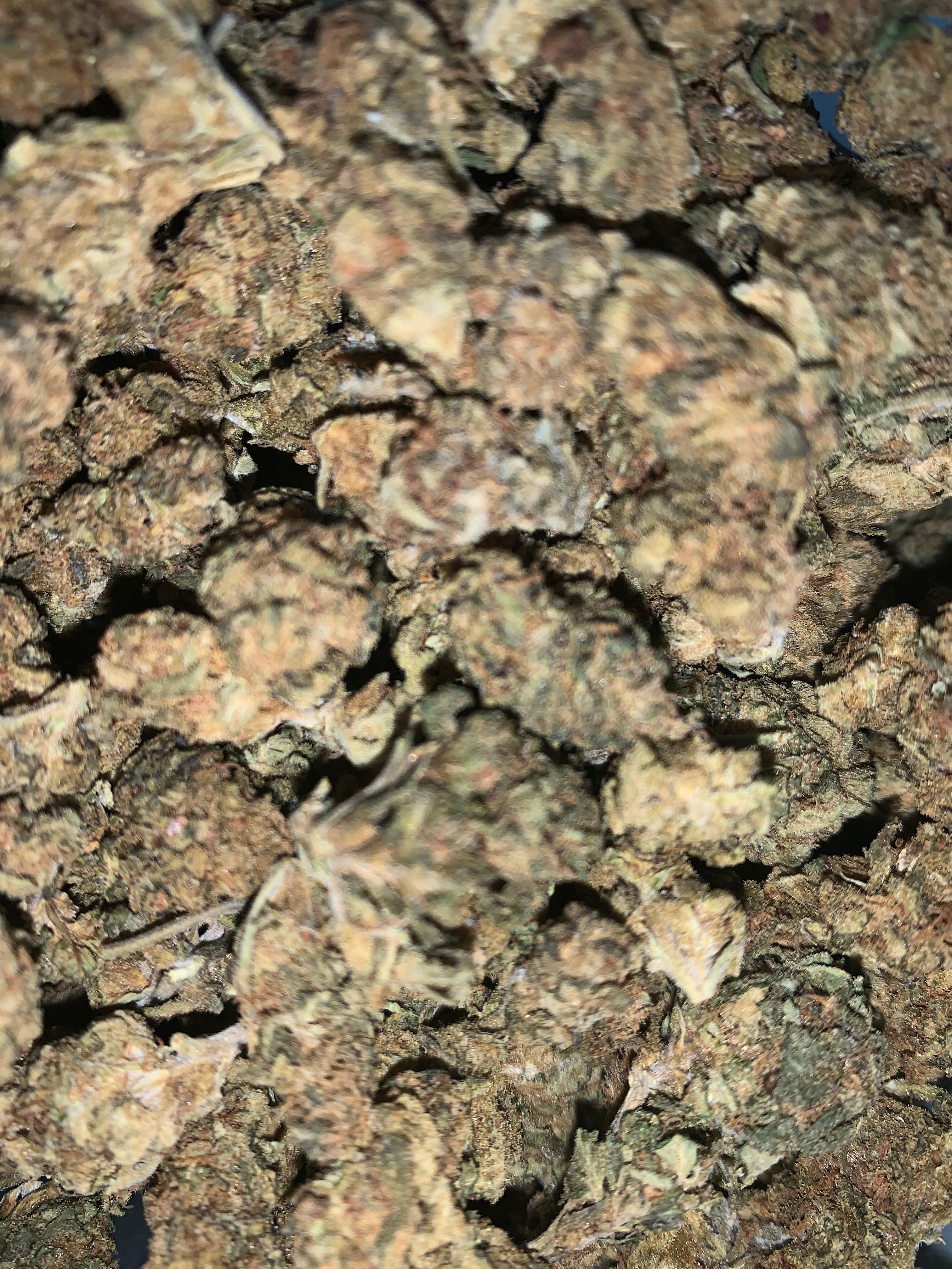 Blue Gelato — Hybrid | Greendoor/House Blend