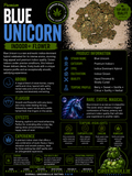 Blue Unicorn | Premium Indoor+ Flower