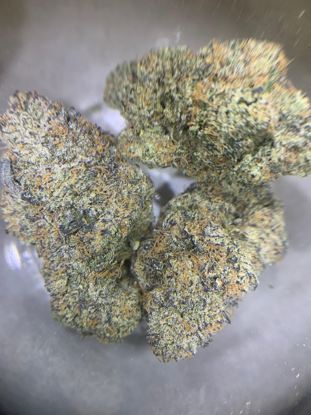 Blue Zushi — Hybrid | Indoor (A4) AAAA+