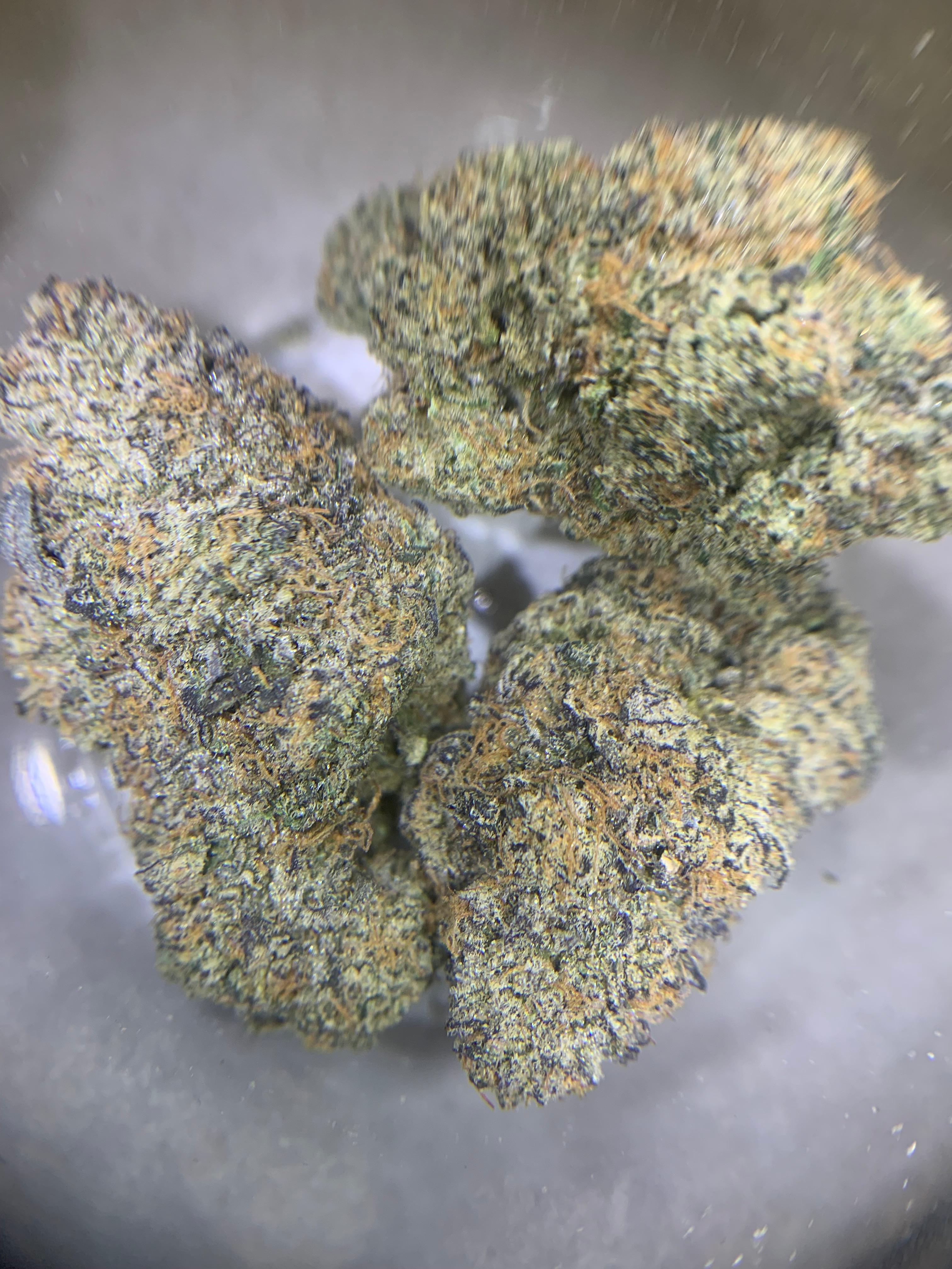 Blue Zushi — Hybrid | Indoor (A4) AAAA+