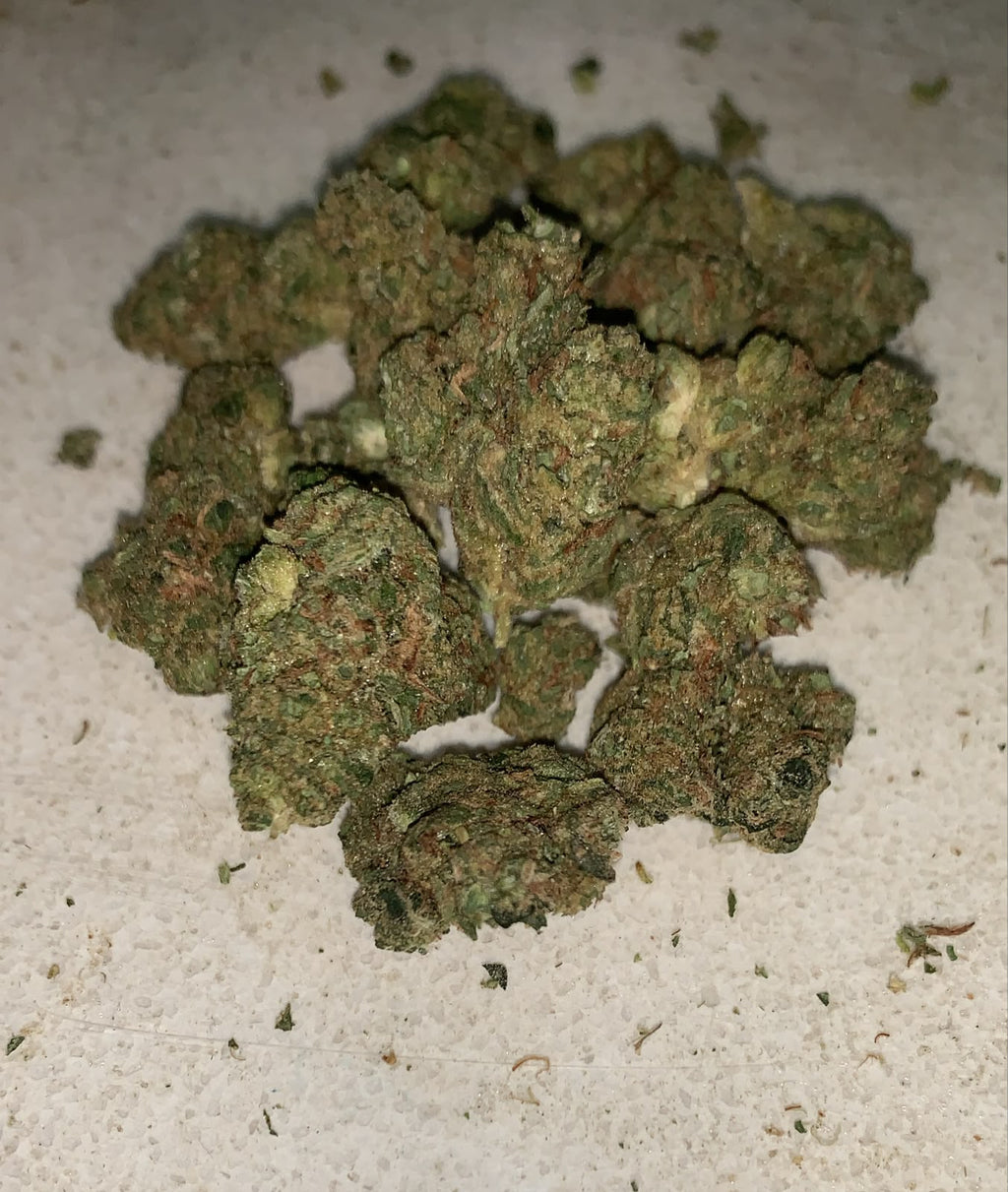 Blue Unicorn | Premium Indoor+ Flower
