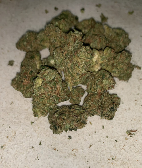 Blue Unicorn | Premium Indoor+ Flower