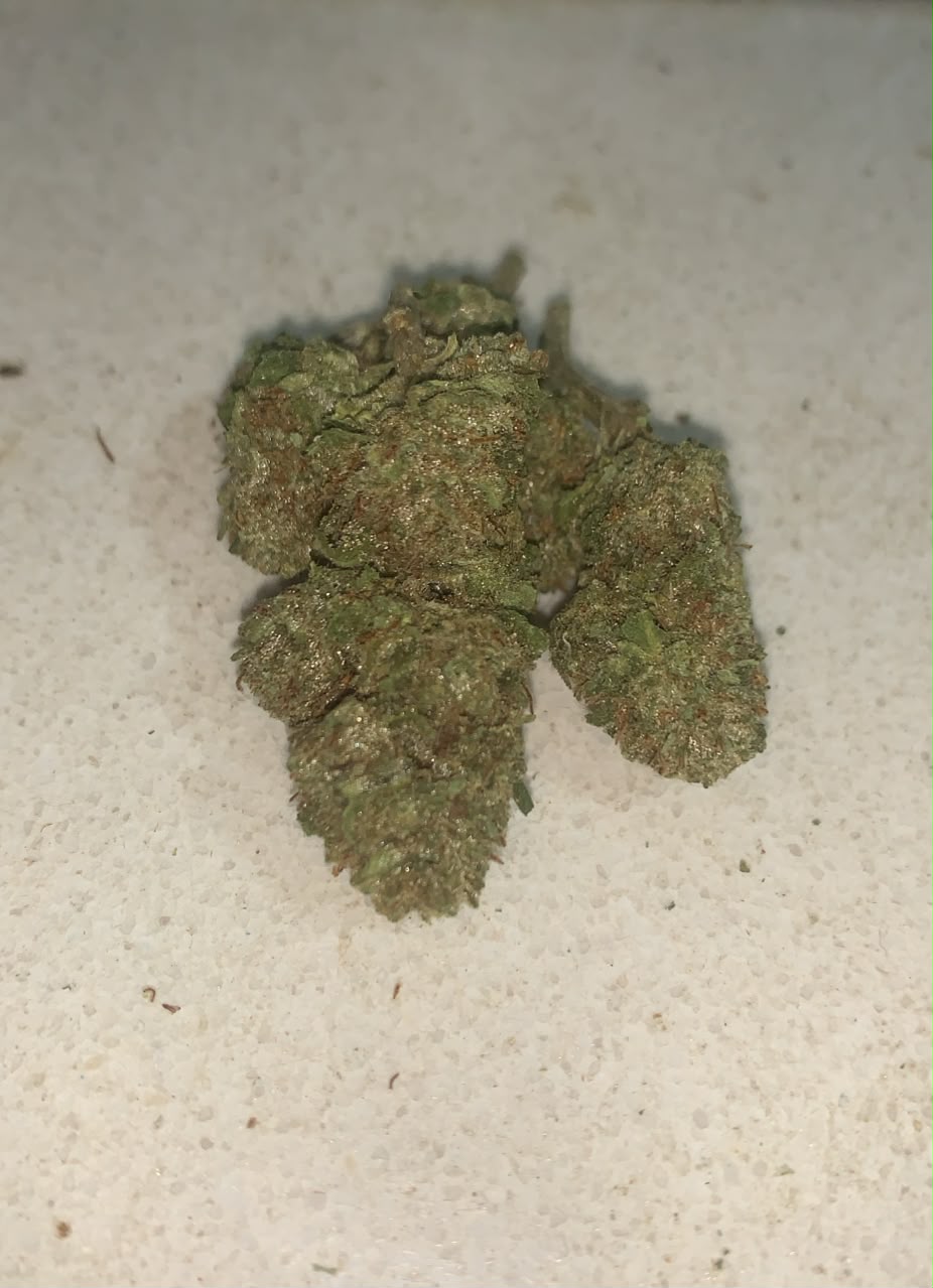 Bubba Kush | Premium Greendoor+ Flower