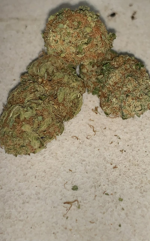 Caked Cherry | Premium Indoor Flower