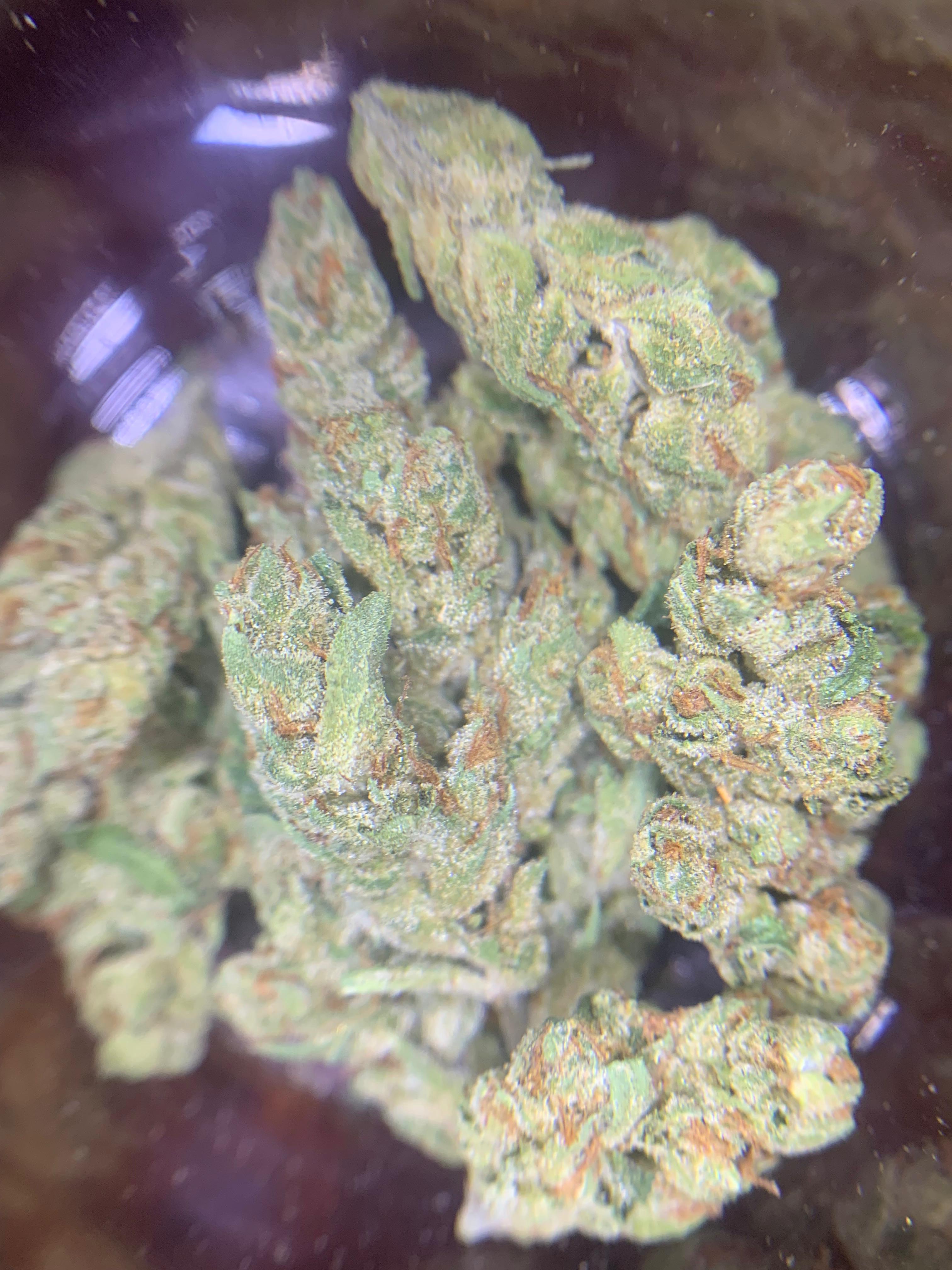 Chemdawg (GBO AA+)Hybrid (slightly Indica-leaning)