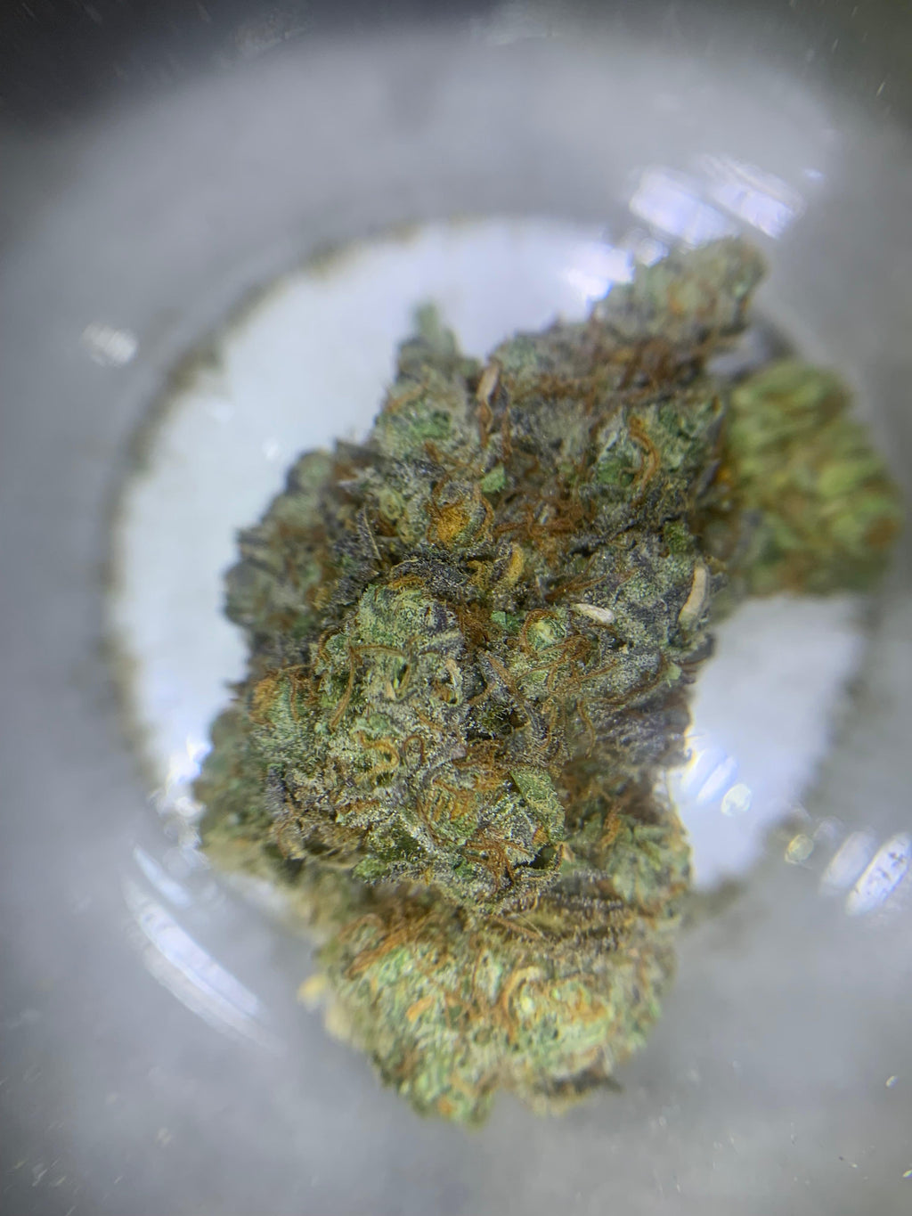 Colin OG — Hybrid THC: 20–24%
