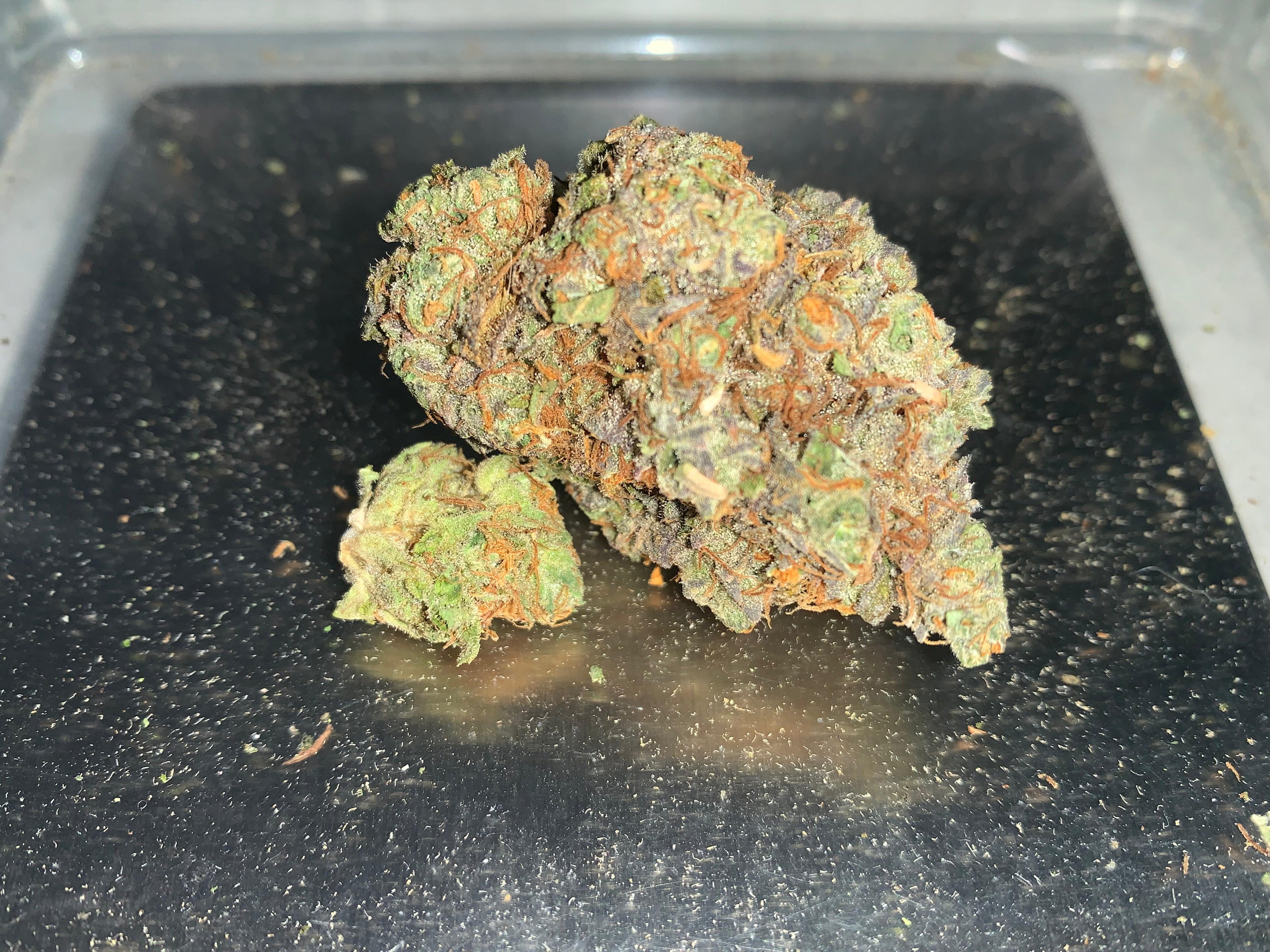 Colin OG — Hybrid THC: 20–24%