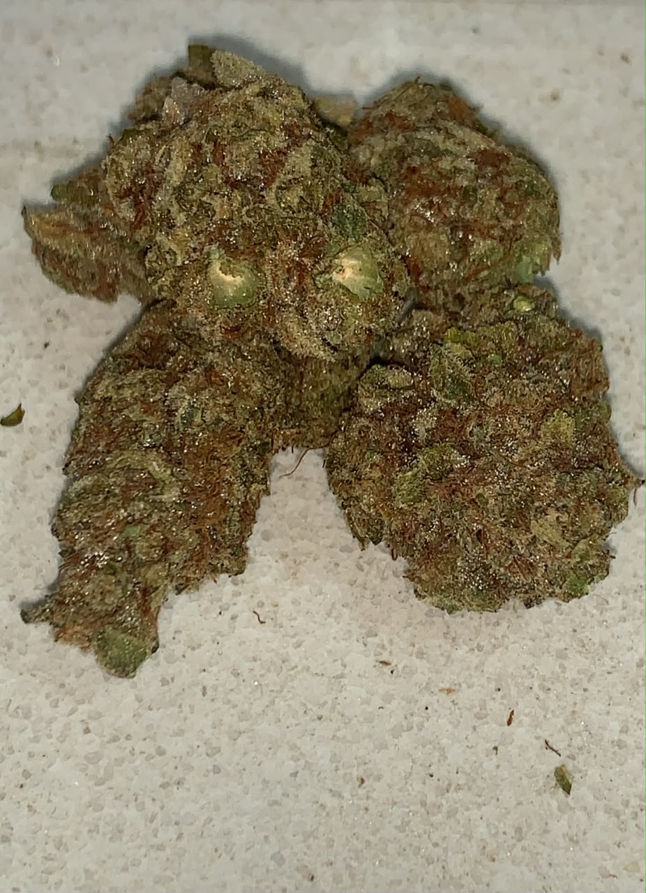 Divine Storm | Premium Greendoor+ Flower
