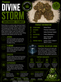 Divine Storm | Premium Greendoor+ Flower