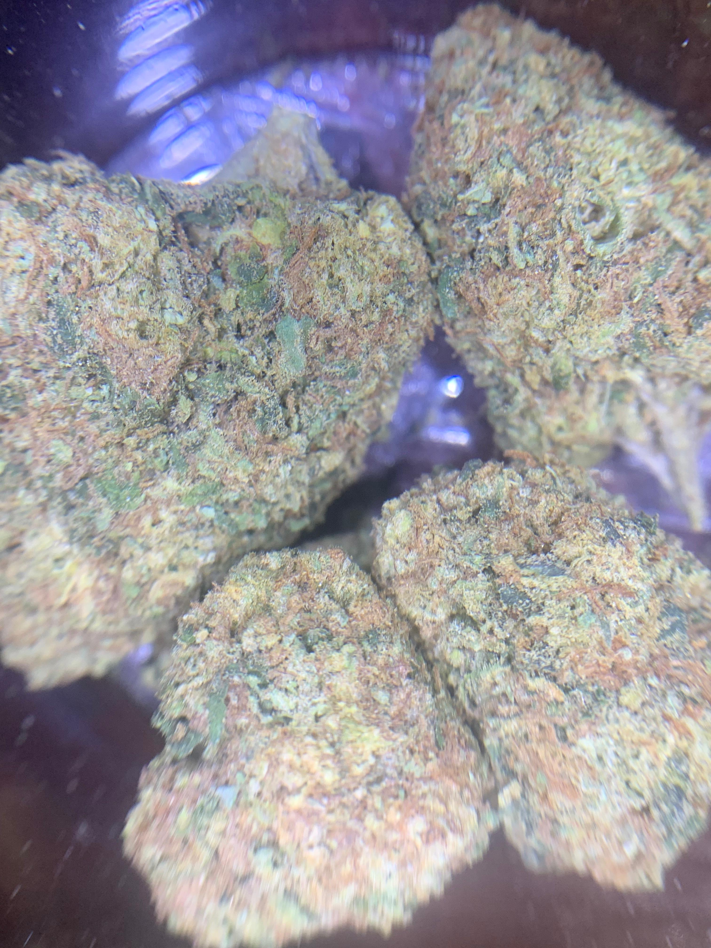 El Poncho (GBO AA+) Indica