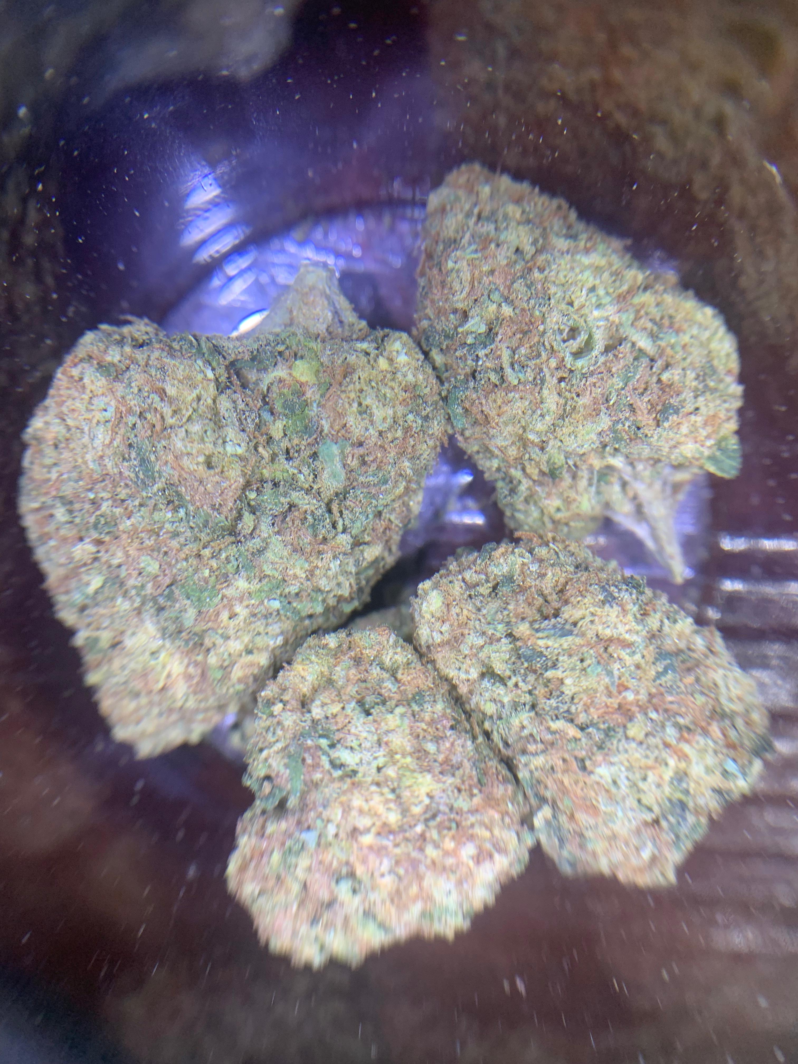 El Poncho (GBO AA+) Indica