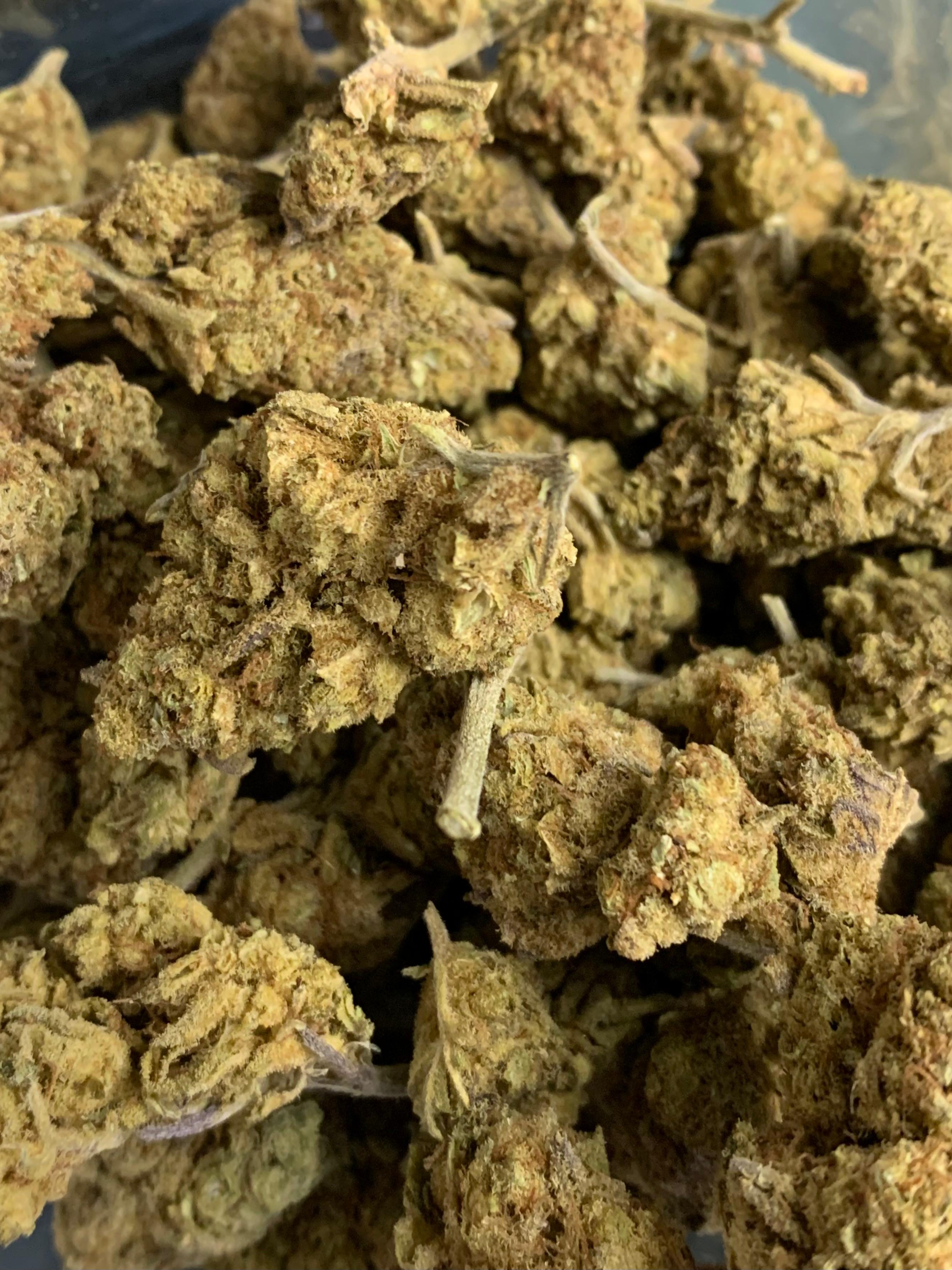 Face on Fire — Hybrid | Greendoor/House A+ Blend
