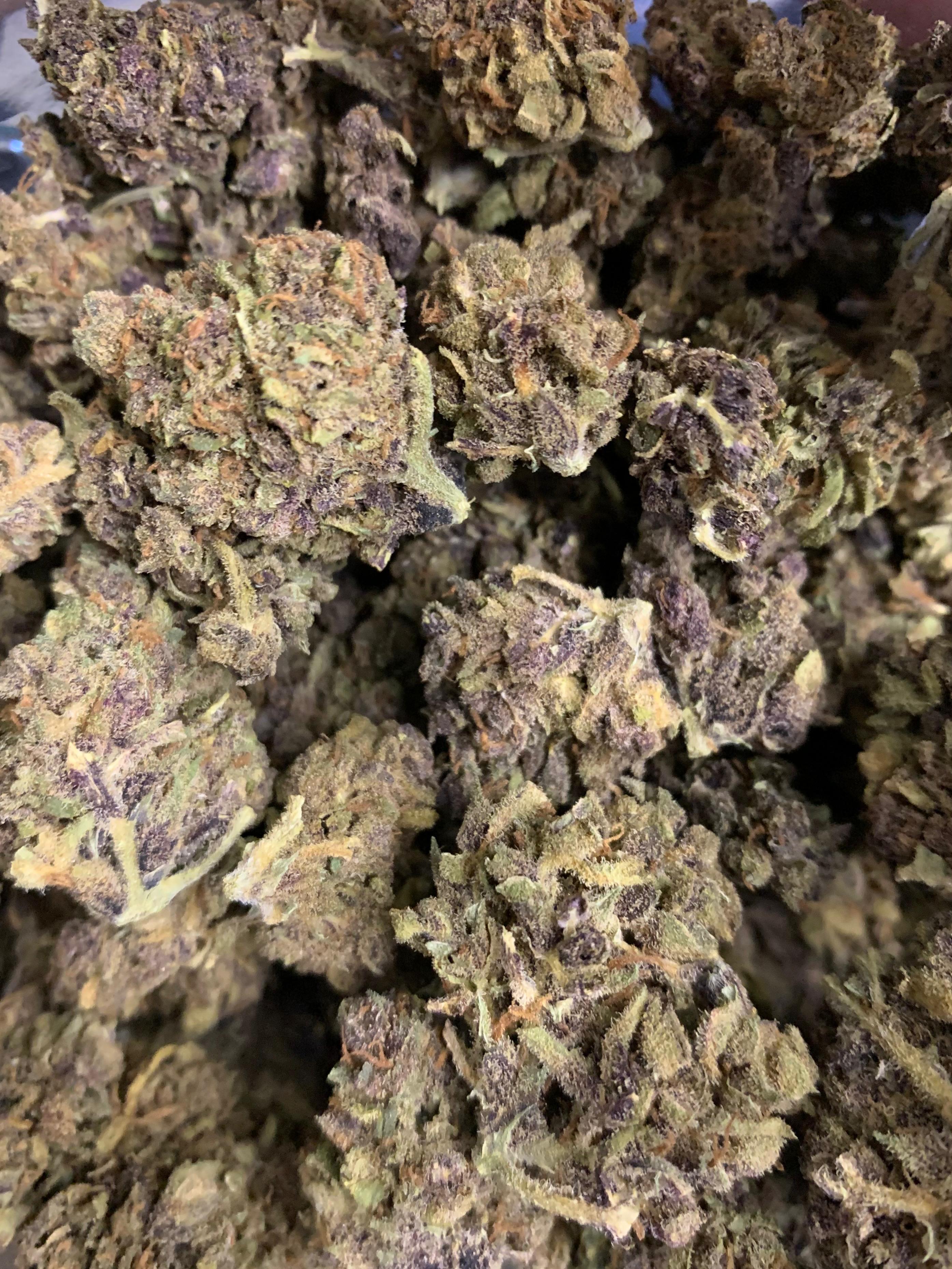 Fog Monster — Hybrid | Greendoor/House A+ Blend
