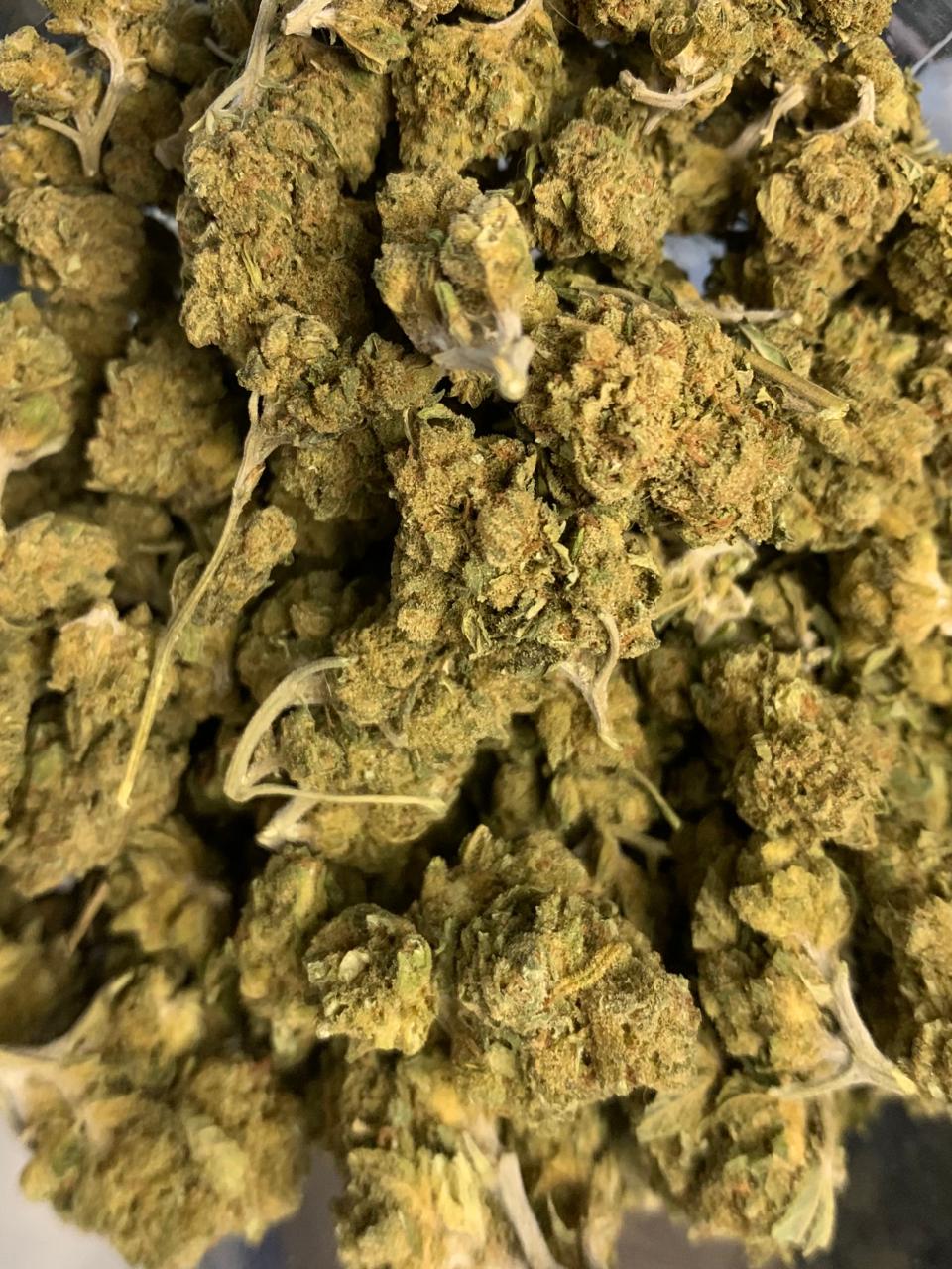 Future 1 — Hybrid | Greendoor/House A+ Blend