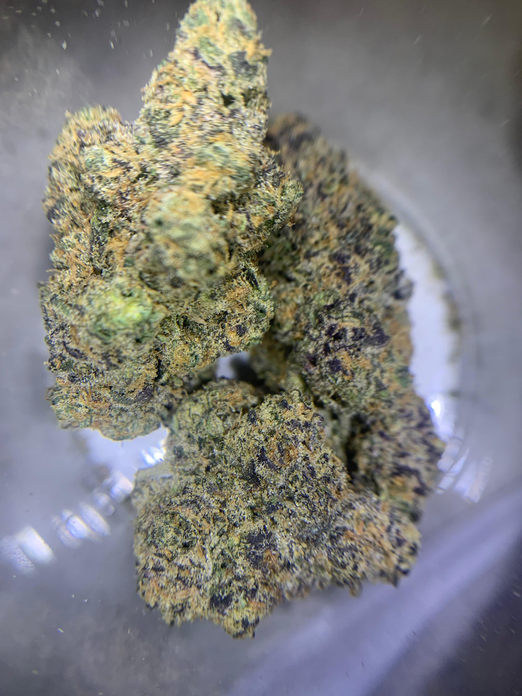 Giga Gas — Hybrid | Indoor (A4) AAAA+