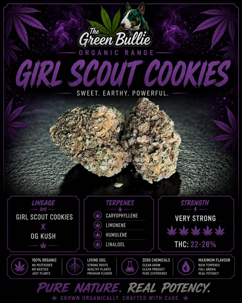 Girl Scout Cookies (Hybrid)GBO AA+