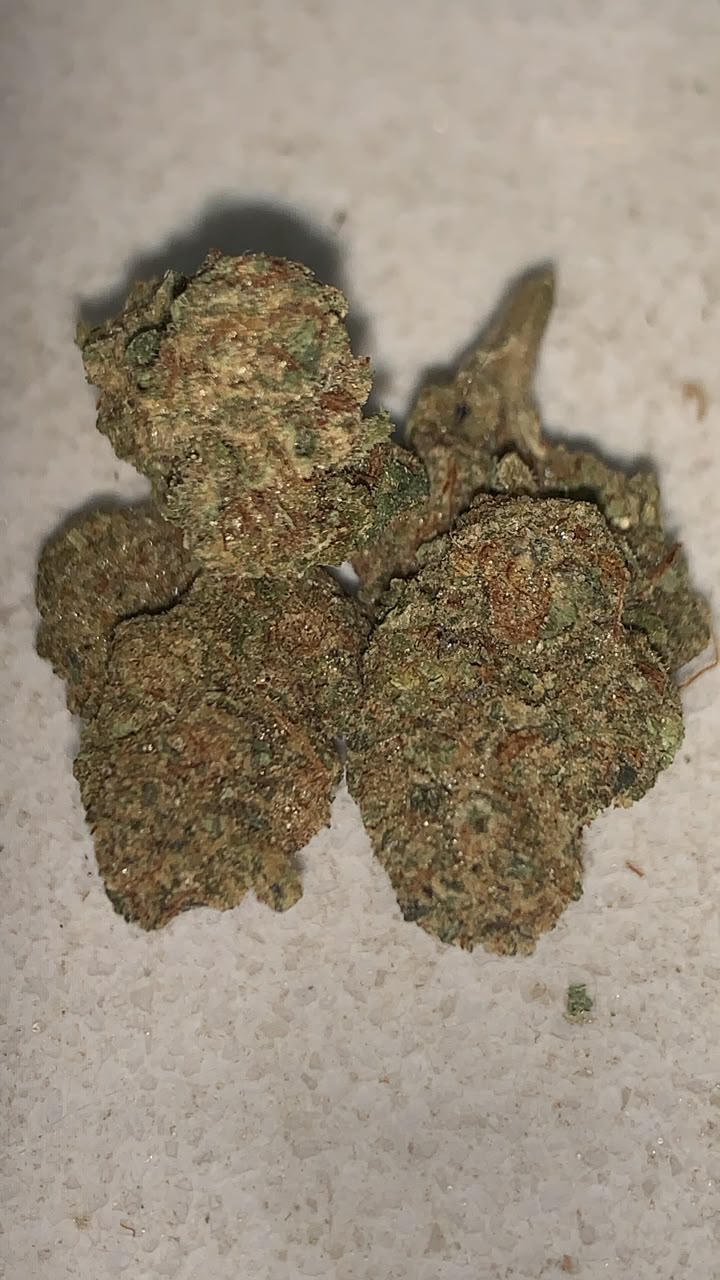 Grand Rocket | Premium Indoor Flower